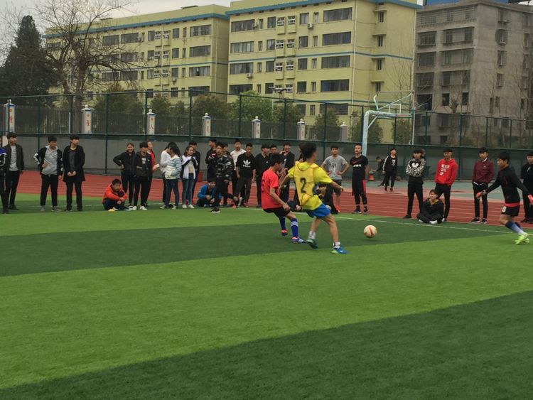 香港免费全年资料大全