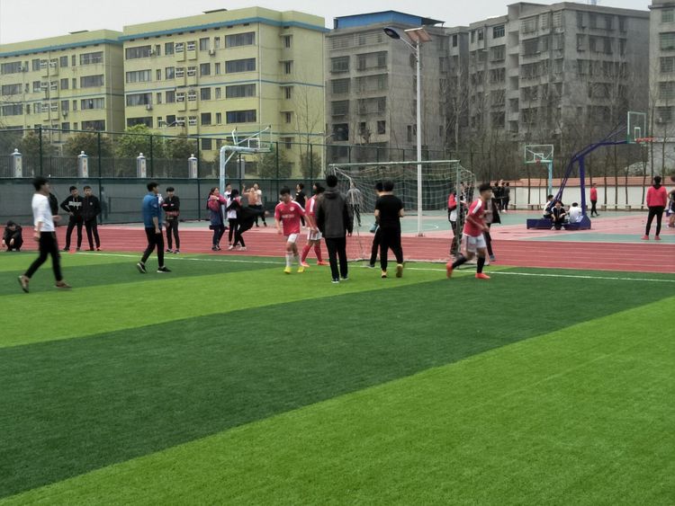 香港免费全年资料大全