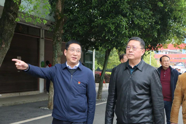 香港免费全年资料大全