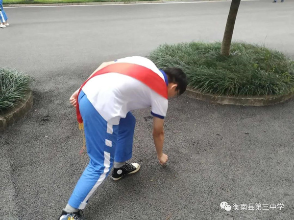 香港免费全年资料大全