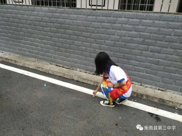 香港免费全年资料大全