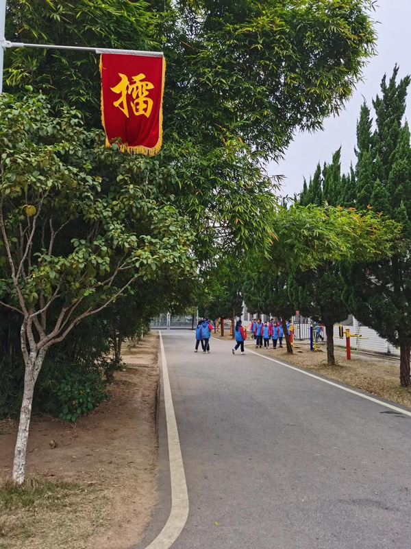 香港免费全年资料大全