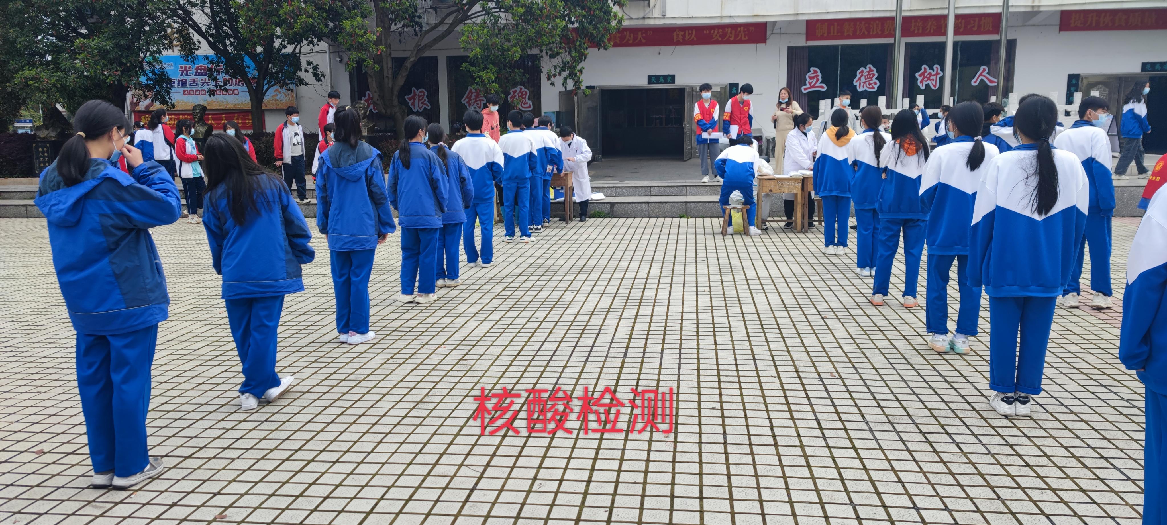 香港免费全年资料大全