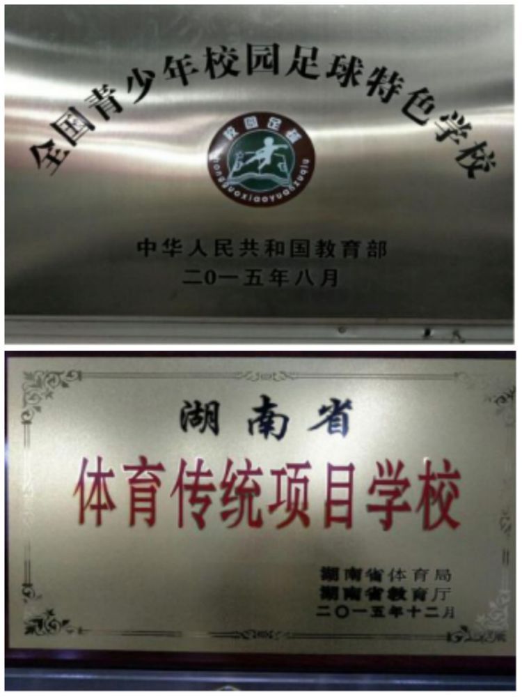 香港免费全年资料大全