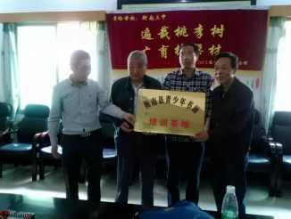 香港免费全年资料大全