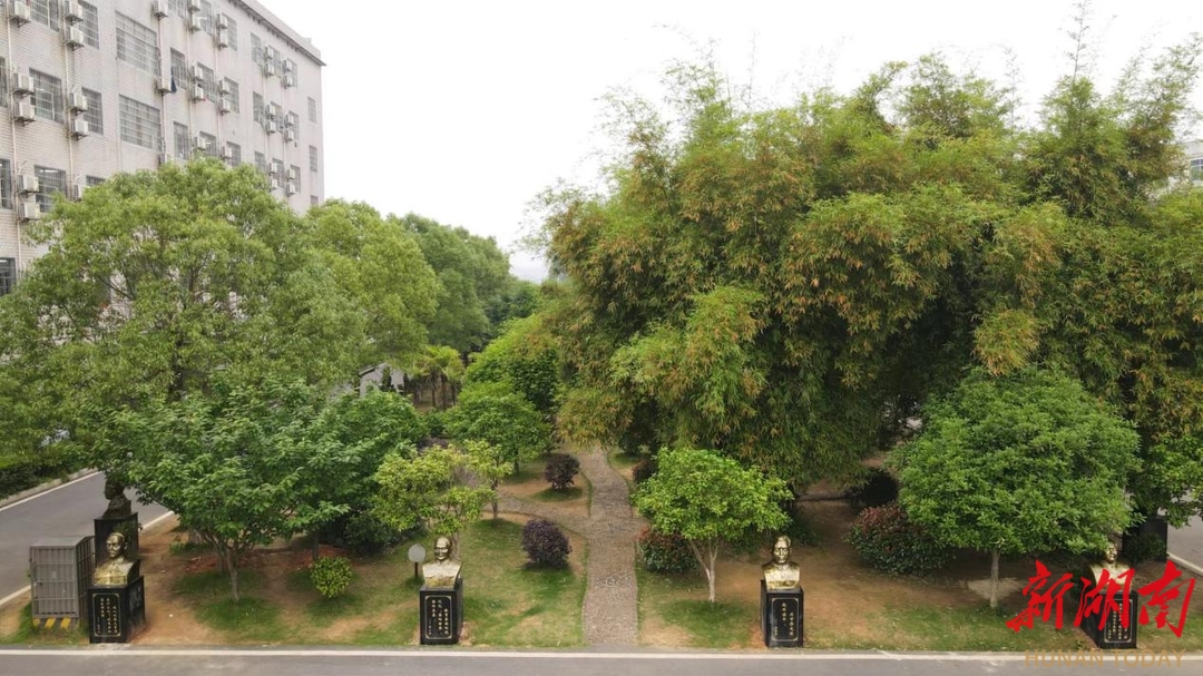 香港免费全年资料大全