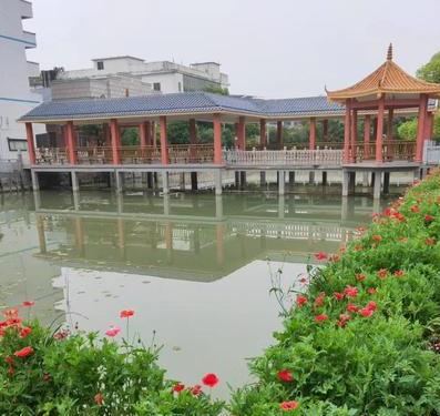 香港免费全年资料大全