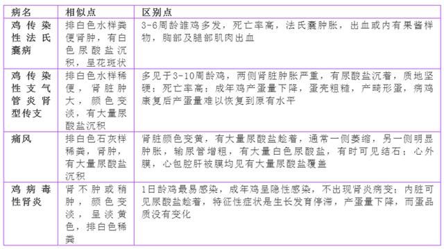 香港免费全年资料大全