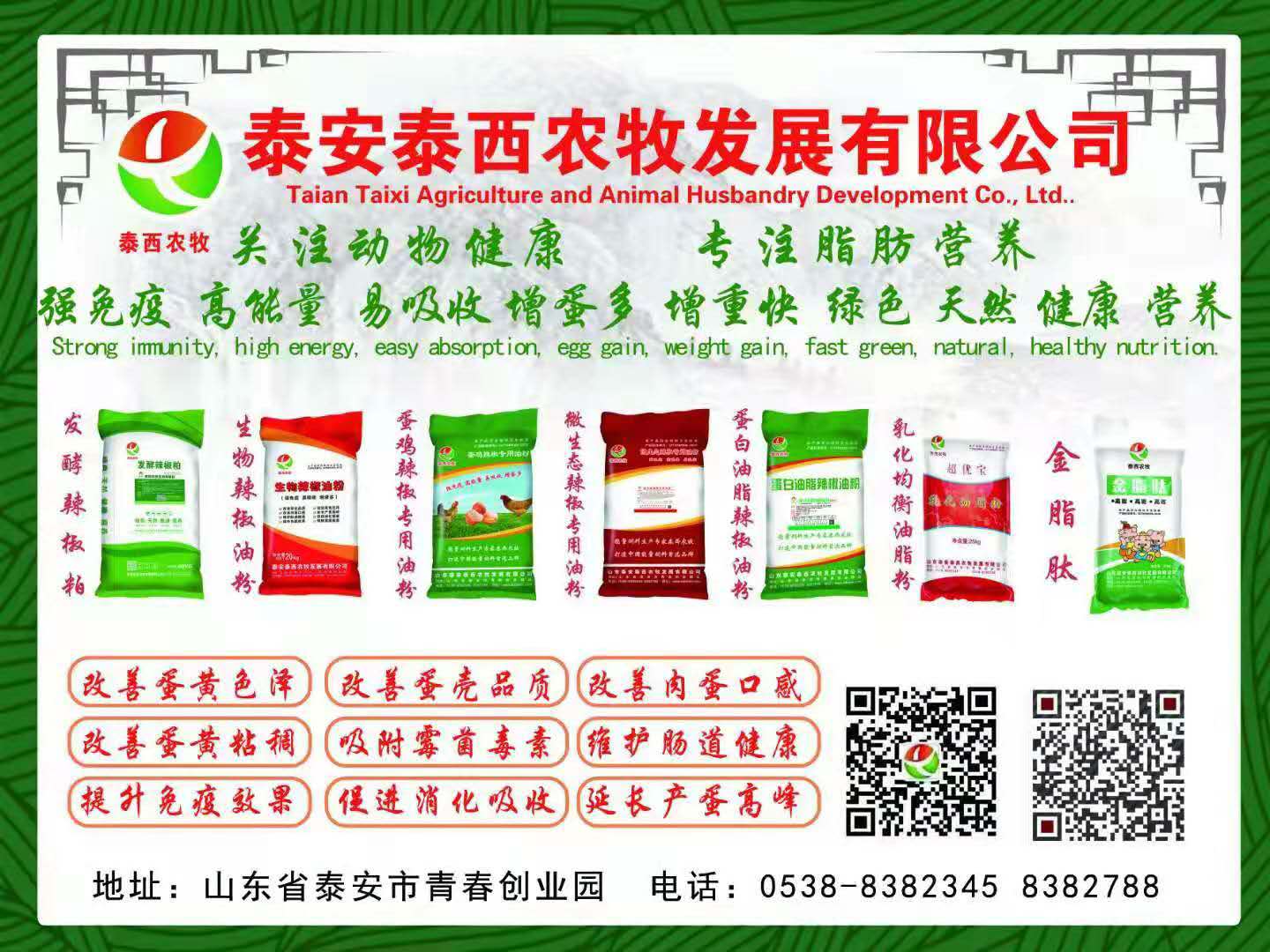 香港免费全年资料大全