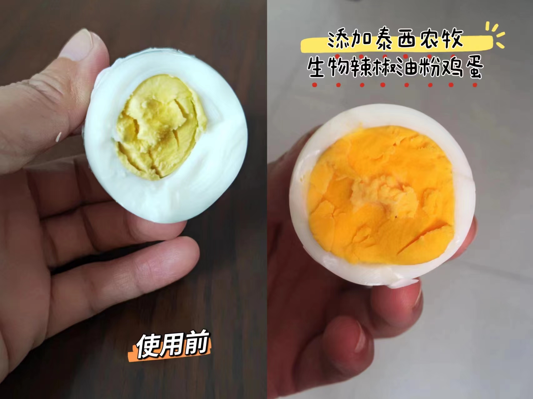 香港免费全年资料大全
